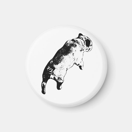 Helder Accent Magneet (Voorkant)