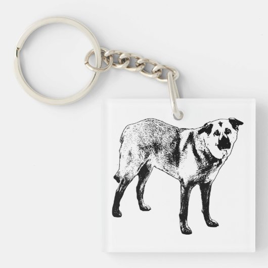 helder bedel charme, Tibetaanse mix Sleutelhanger (voorkant)