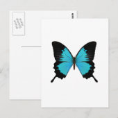 Helder Blauw & Zwarte Vlinder Originele kleuren Briefkaart (Voorkant / Achterkant)