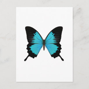 Helder Blauw & Zwarte Vlinder Originele kleuren Briefkaart