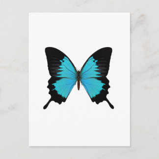 Helder Blauw & Zwarte Vlinder Originele kleuren Briefkaart