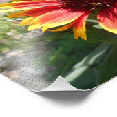 Helder branden foto afdruk (Hoek)