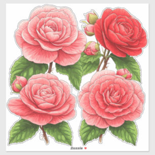Helder Camellia Rozen Boeket Sticker