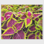 Helder Coleus Blad Ontwerp Cadeaupapier (Vlak)
