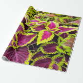Helder Coleus Blad Ontwerp Cadeaupapier (Uitgerold)