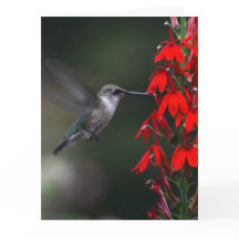 Helder de dag van iemand met deze mooie kaart op!!