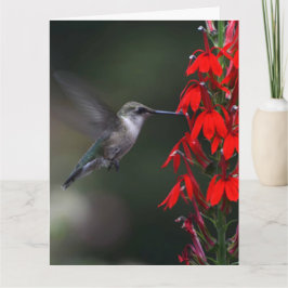 Helder de dag van iemand met deze mooie kaart op!!