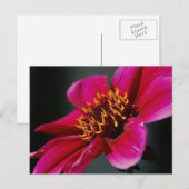 Helder en gedurfd Briefkaart (Voorkant / Achterkant)