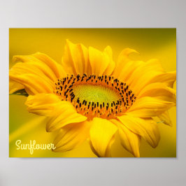 Helder Geel Zonnebloem Mat Wandkunst Poster