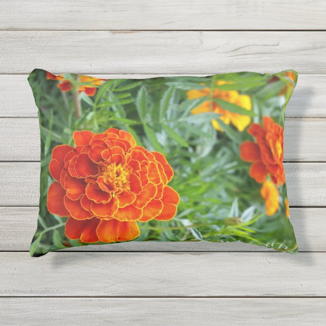 helder gekleurd marigold buitenkussen (Voorkant)