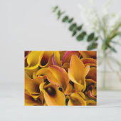 Helder gekleurde calla's bij de briefkaart (Staand voorkant)
