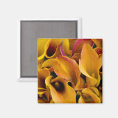 Helder gekleurde calla's bij de magneet (Voorkant / Achterkant)