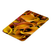Helder gekleurde calla's bij de magneet (Linkerzijde)