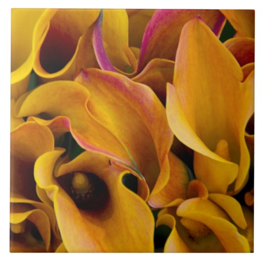 Helder gekleurde calla's bij de tegeltje (Voorkant)