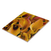Helder gekleurde calla's bij de tegeltje (Zijkant)