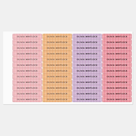 Helder gekleurde Gingham Plaid basisschool Labels (Vel)