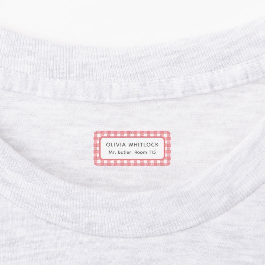 Helder gekleurde Gingham Plaid basisschool Labels (Aangebracht)