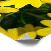 Helder Gele Bloemen Poster (Hoek)