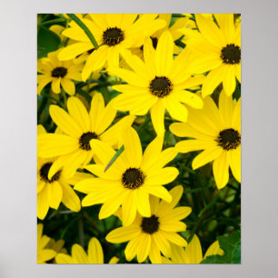 Helder Gele Bloemen Poster