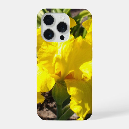 Helder Gele Iris, iPhone Hoesje (Achterkant)