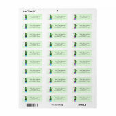 Helder Gestreepte Fiesta Vetplanten Cinco de Mayo Etiket (Full Sheet)