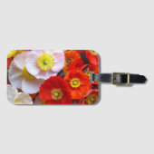 Helder Klaproos Bloemen Bagagelabel (Voorkant (horizontaal))