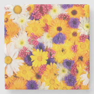Helder kleurrijk Bloemen Lente Patroon Stenen Onderzetter