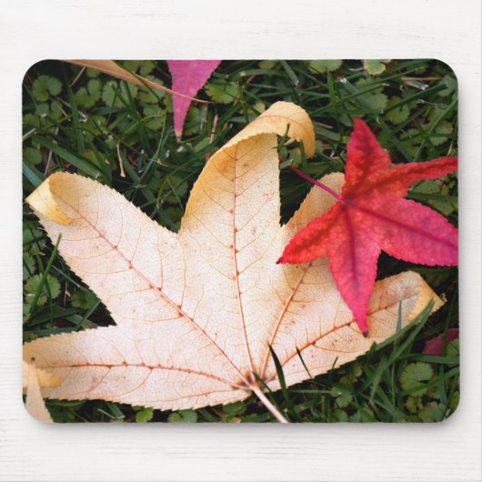 Helder kleurrijke mantel Leaf Muismat (Voorkant)