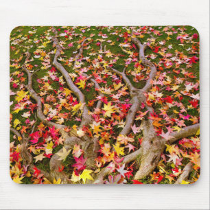Helder kleurrijke mantel Leaf Muismat
