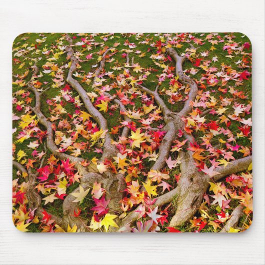 Helder kleurrijke mantel Leaf Muismat (Voorkant)