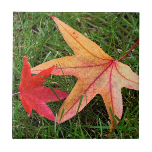 Helder kleurrijke mantel Leaf Tegeltje (Voorkant)