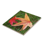 Helder kleurrijke mantel Leaf Tegeltje (Zijkant)