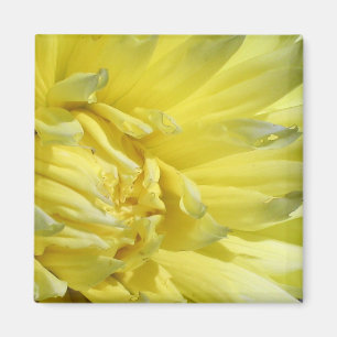 Helder, Lemon Yellow Dahlia Magneet
