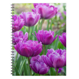 Helder lila tulpen op een zonnige dag notitieboek