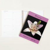 Helder Lily Planner (Display)