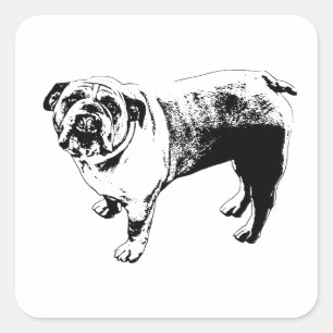 Helder Merk, Opwaartse Blik Vierkante Sticker