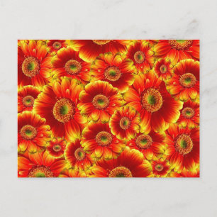 Helder Oranje Bloemen Briefkaart