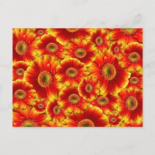 Helder Oranje Bloemen Briefkaart (Voorkant)