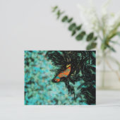 Helder Oranje en blauwe vis Briefkaart (Staand voorkant)
