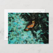 Helder Oranje en blauwe vis Briefkaart (Voorkant / Achterkant)