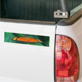 Helder Oranje en zwarte vlinder op leder Bumpersticker (Op Truck)