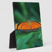 Helder Oranje en zwarte vlinder op leder Fotoplaat (Zijkant)