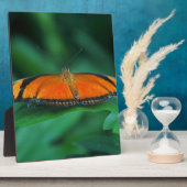 Helder Oranje en zwarte vlinder op leder Fotoplaat (Zijkant)