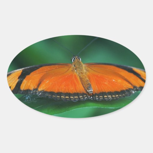 Helder Oranje en zwarte vlinder op leder Ovale Sticker (Voorkant)