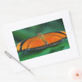 Helder Oranje en zwarte vlinder op leder Rechthoekige Sticker (Envelop)