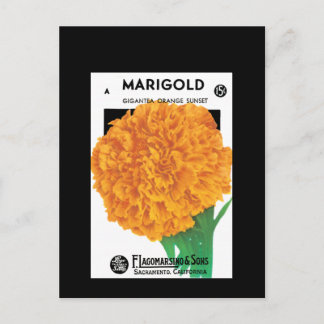 Helder Oranje Marigold Briefkaart