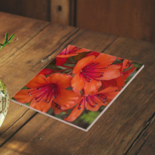 Helder Oranje Rhododendron Bloesem Bloemen Tegeltje