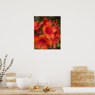 Helder Oranje Rhododendron Bloesems Bloemen Poster