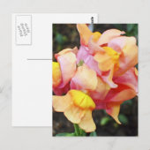 Helder Oranje Snapdragon Flowers Briefkaart (Voorkant / Achterkant)