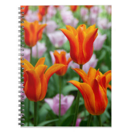 Helder oranje tulpen in het park notitieboek